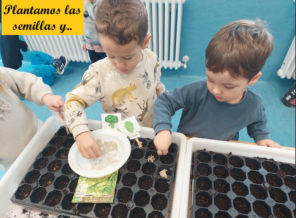 plantando semillas