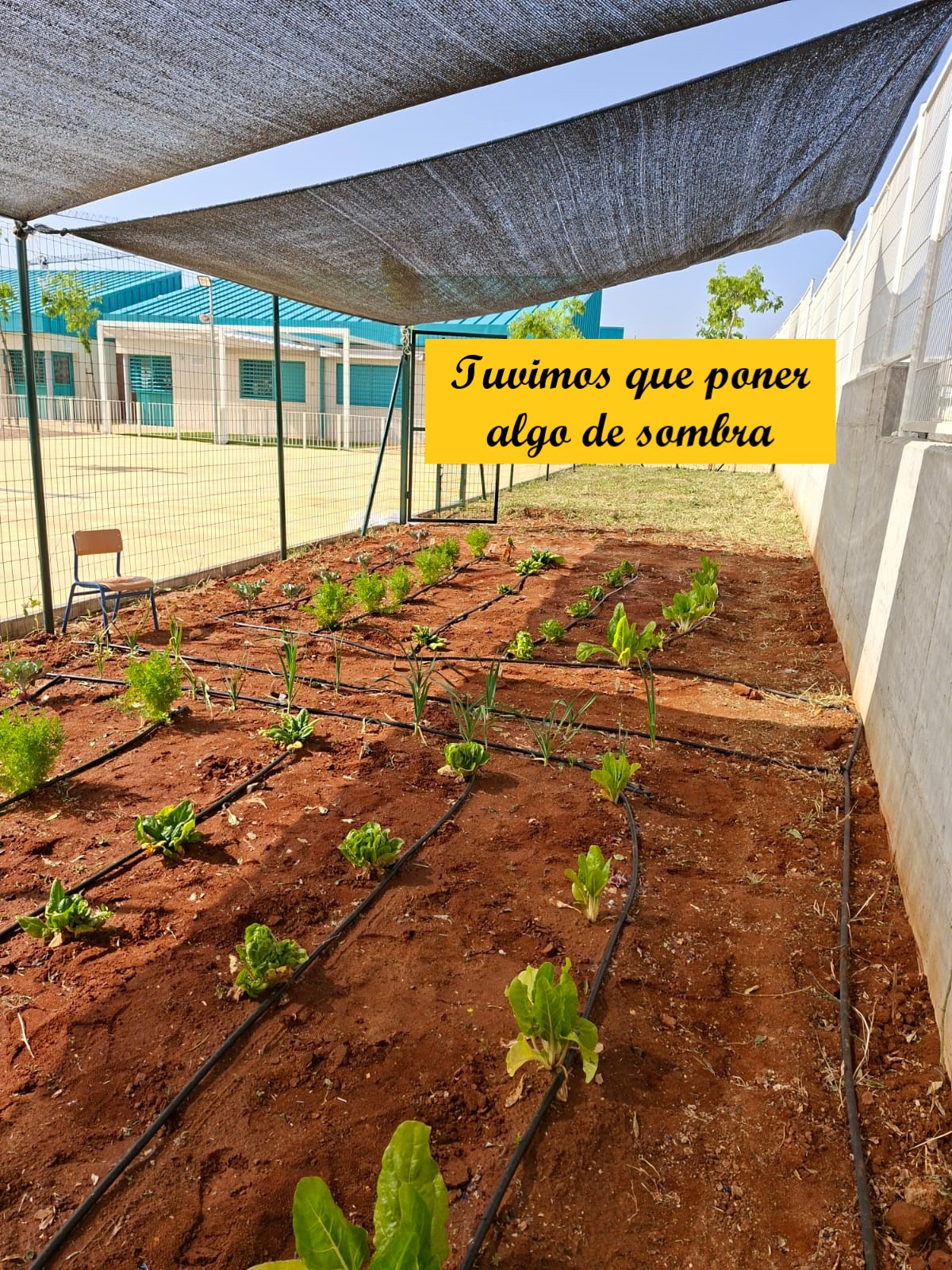 toldos